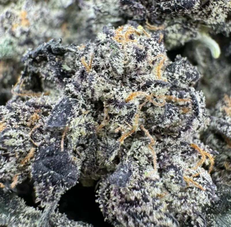 Dense deep-green frosty Astro Warrior Cali Brick cannabis flower