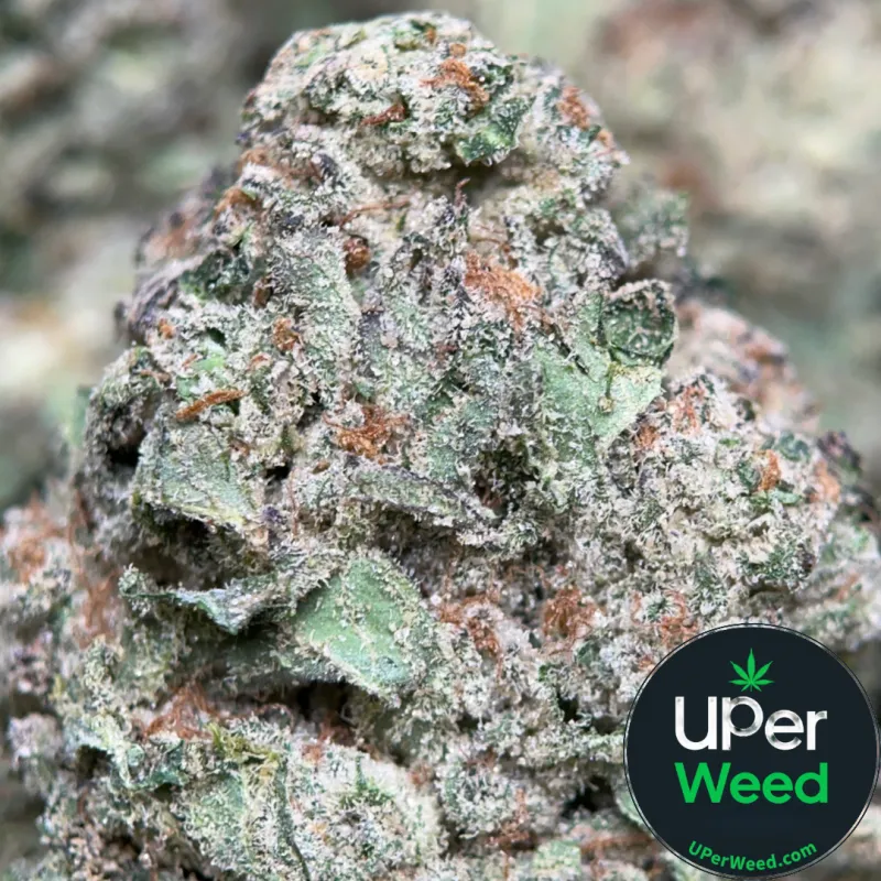 Blue Dream sativa-dominant cannabis flower 1
