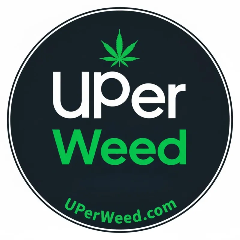 Blue Dream sativa-dominant cannabis flower 2