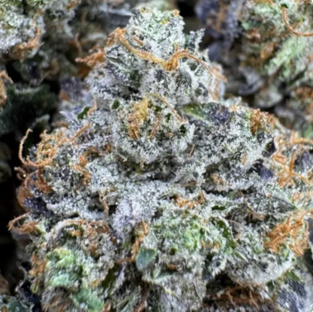 Bubba Goo dark green and purple compressed buds with crystalline trichomes