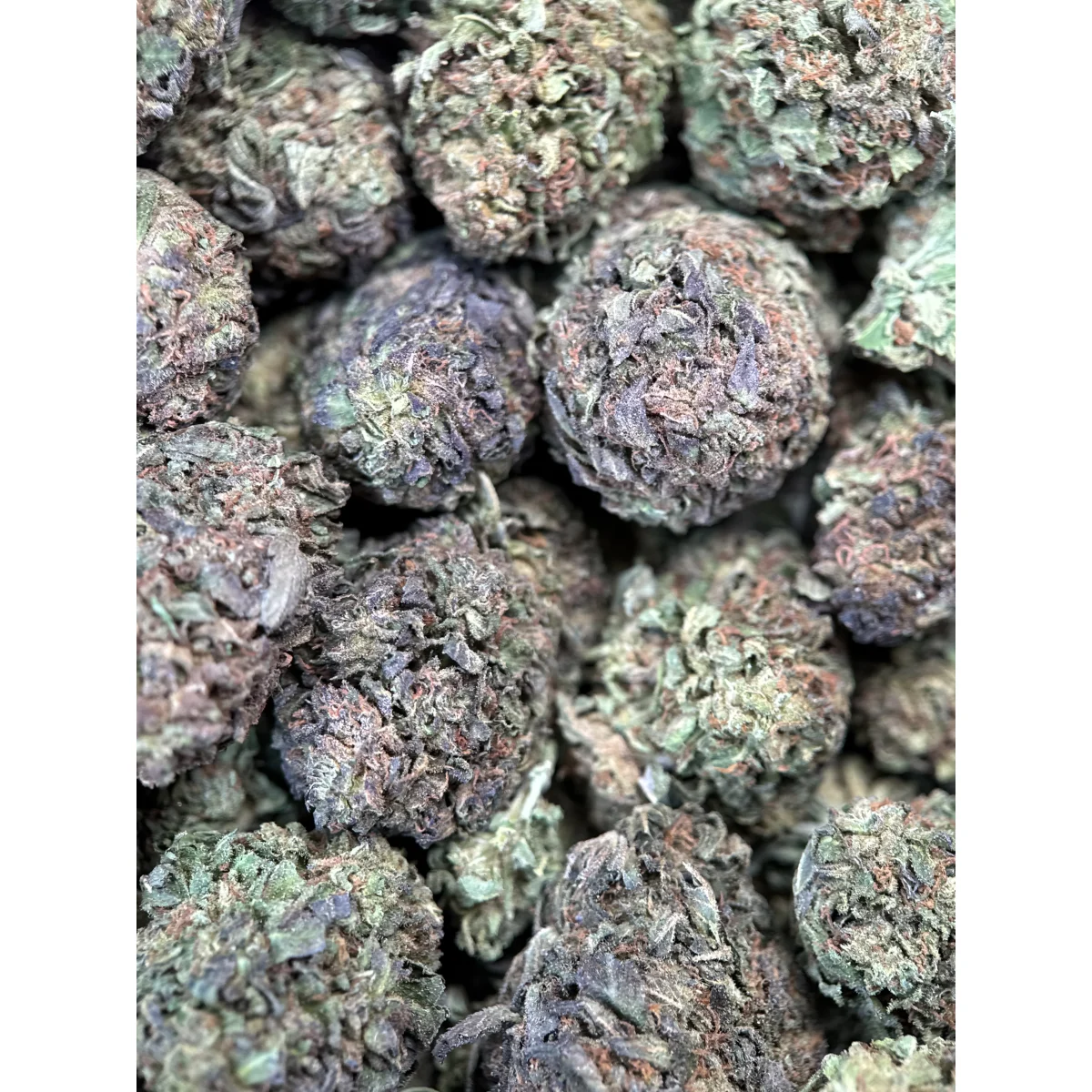 Astro Chimp indica cannabis flower in premium packaging, displaying dense green buds with visible trichomes and natural texture 7