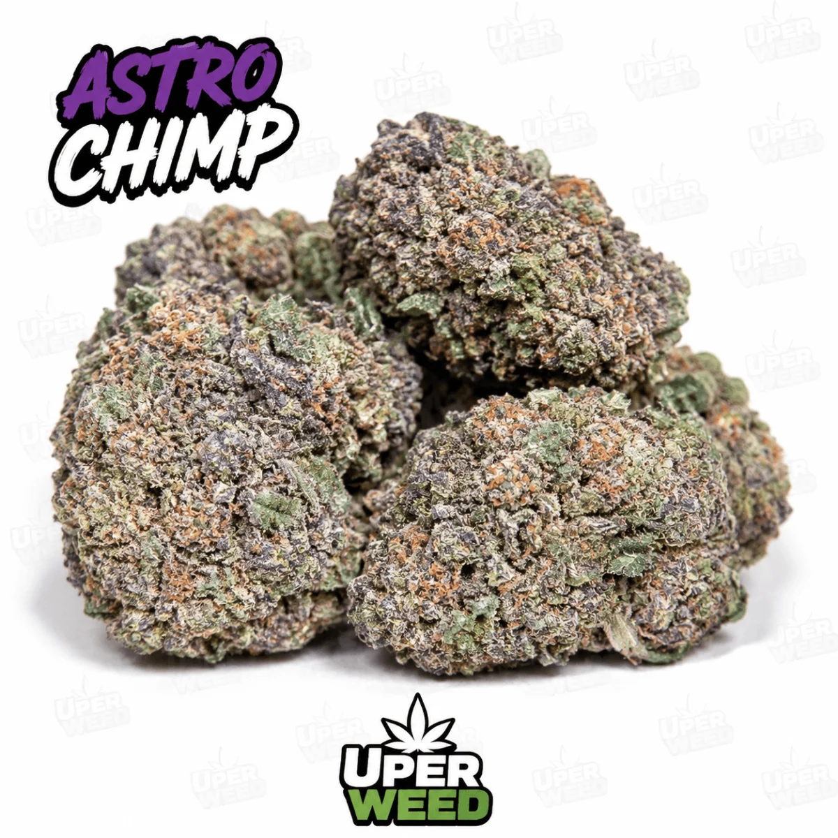 Astro Chimp indica cannabis flower in premium packaging, displaying dense green buds with visible trichomes and natural texture 3