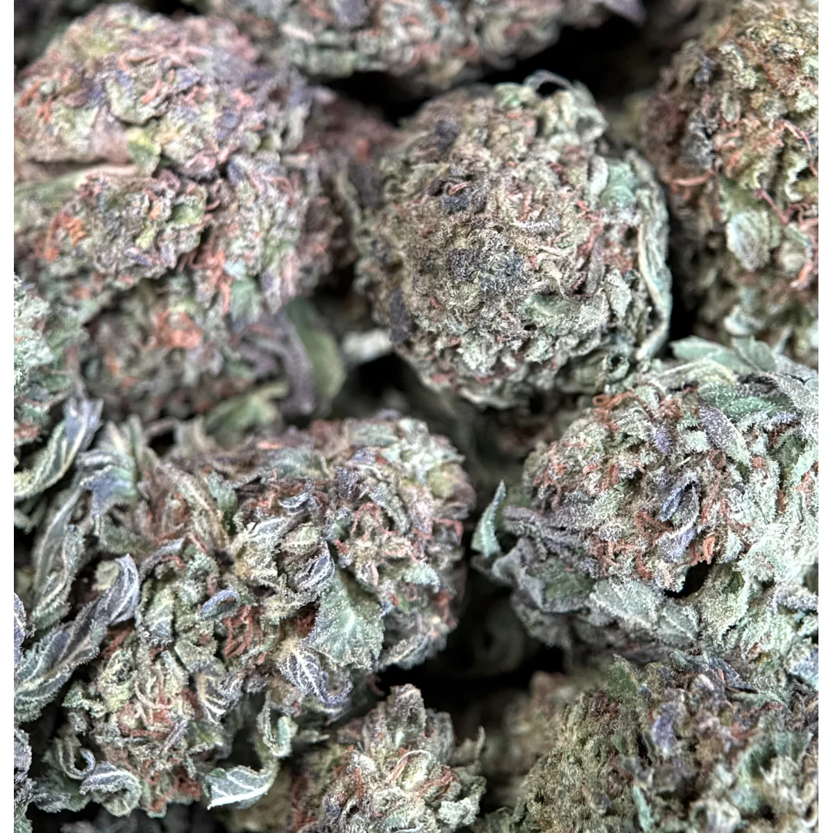 Astro Chimp indica cannabis flower in premium packaging, displaying dense green buds with visible trichomes and natural texture 5