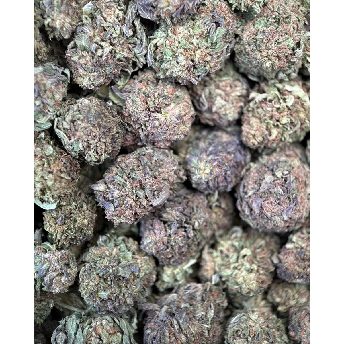 Astro Chimp indica cannabis flower in premium packaging, displaying dense green buds with visible trichomes and natural texture 4