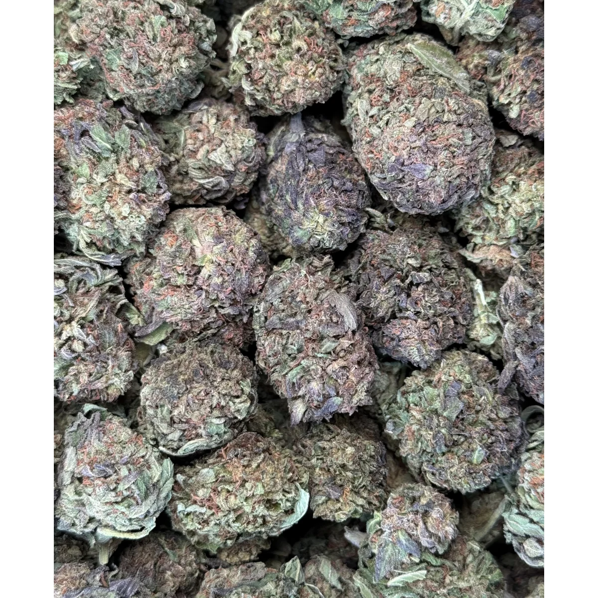 Astro Chimp indica cannabis flower in premium packaging, displaying dense green buds with visible trichomes and natural texture 10