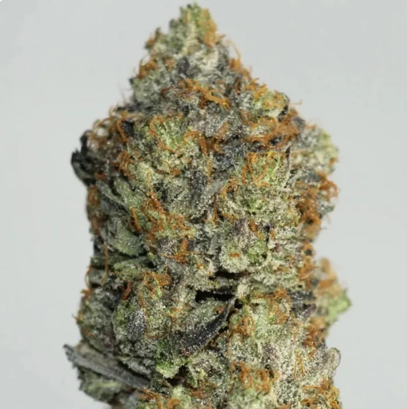 Astro Queen indica cannabis flower from Uper Weed Wholesale, lab-tested and available in multiple sizes for Canadian adults