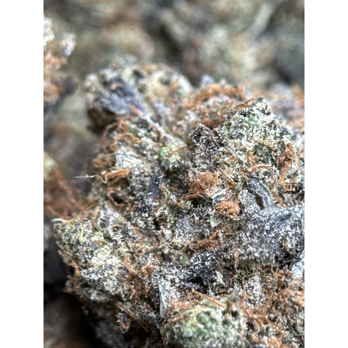 Death Bubba indica flower from Sea to Sky Cannabis, lab-tested and available in multiple sizes for Canadian consumers. 7