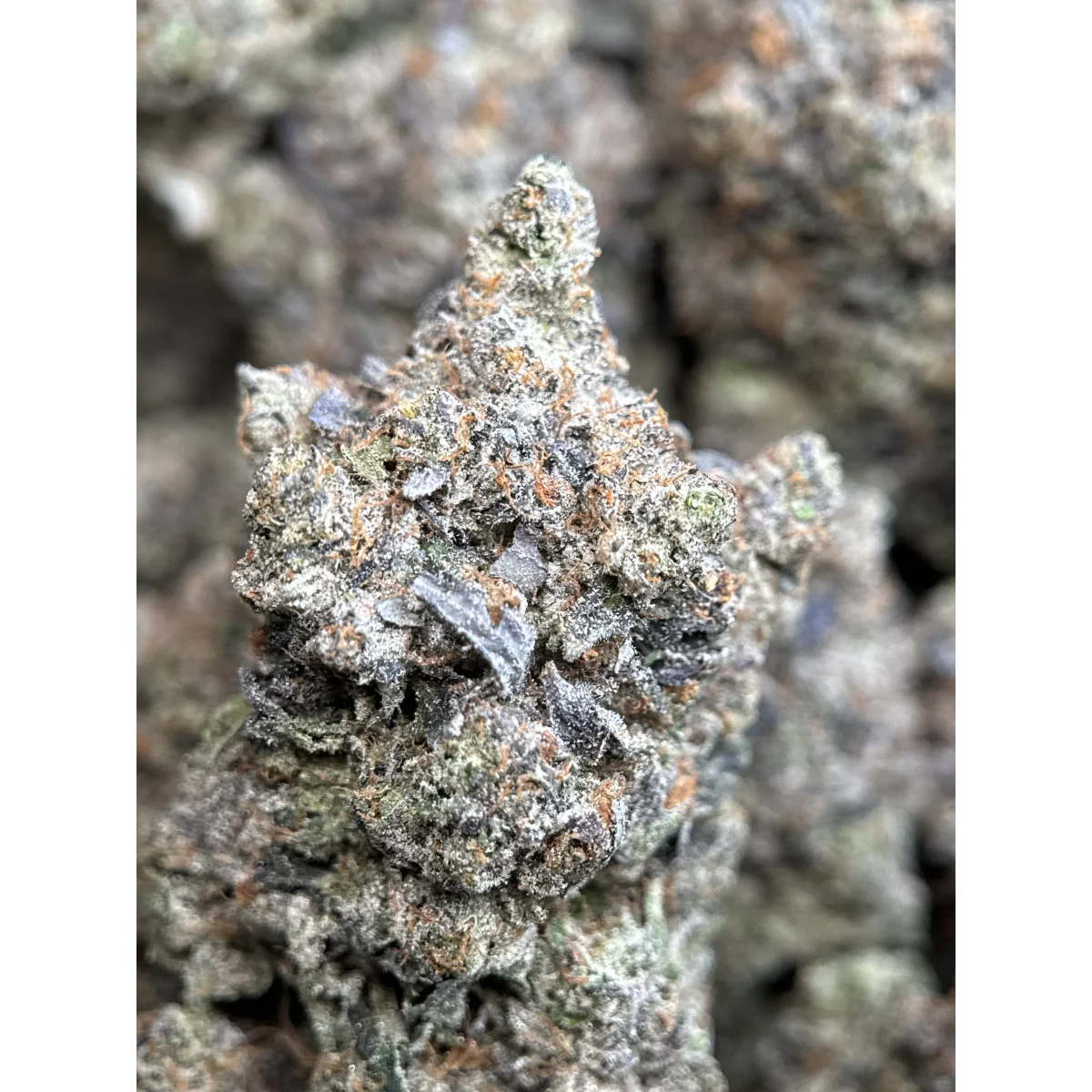 Death Bubba indica flower from Sea to Sky Cannabis, lab-tested and available in multiple sizes for Canadian consumers. 9