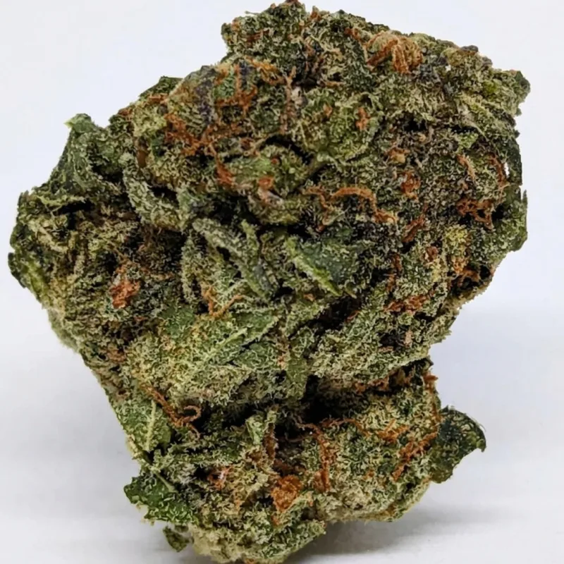 Deep green Platinum Bubba Kush buds with purple streaks and silver trichome frost 2