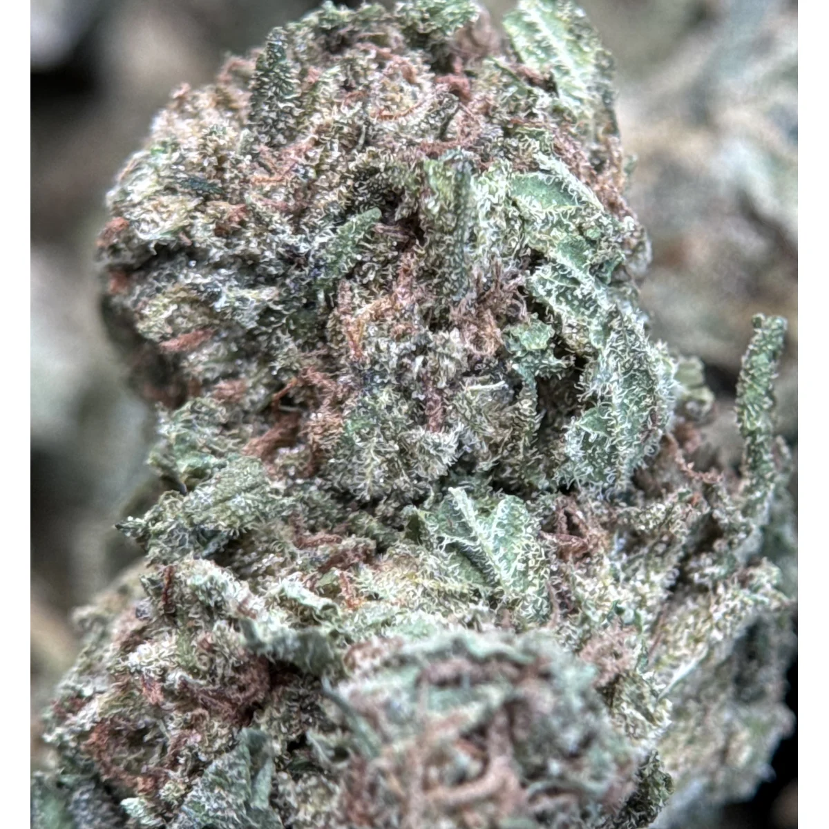 Strawberry Dream product image 5