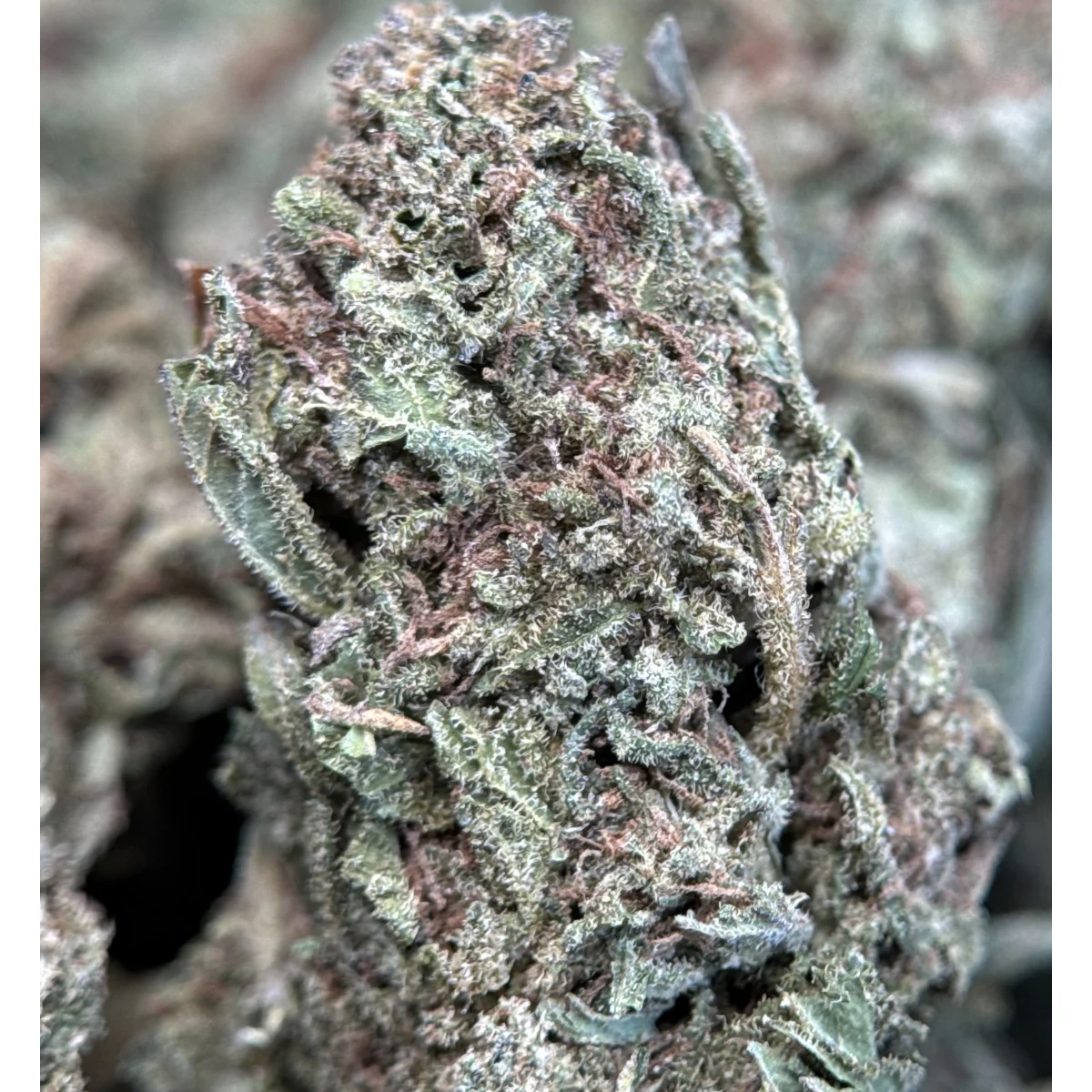 Strawberry Dream product image 4