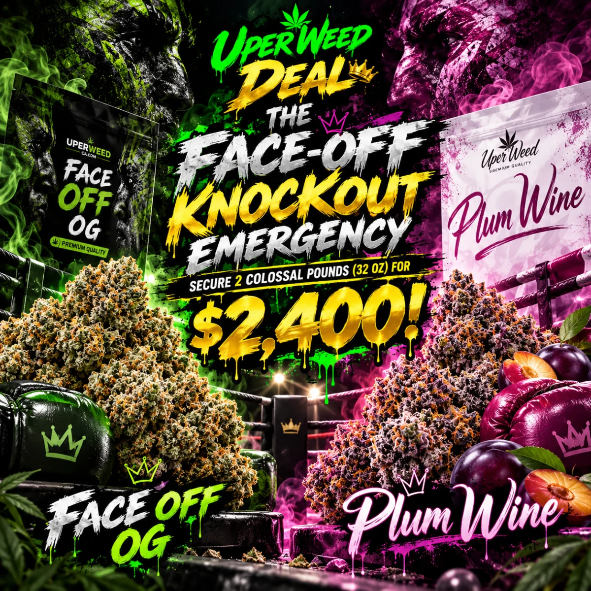 THE FACE-OFF KNOCKOUT EMERGENCY: SECURE 2 COLOSSAL POUNDS (32 OZ) FOR $2,400!