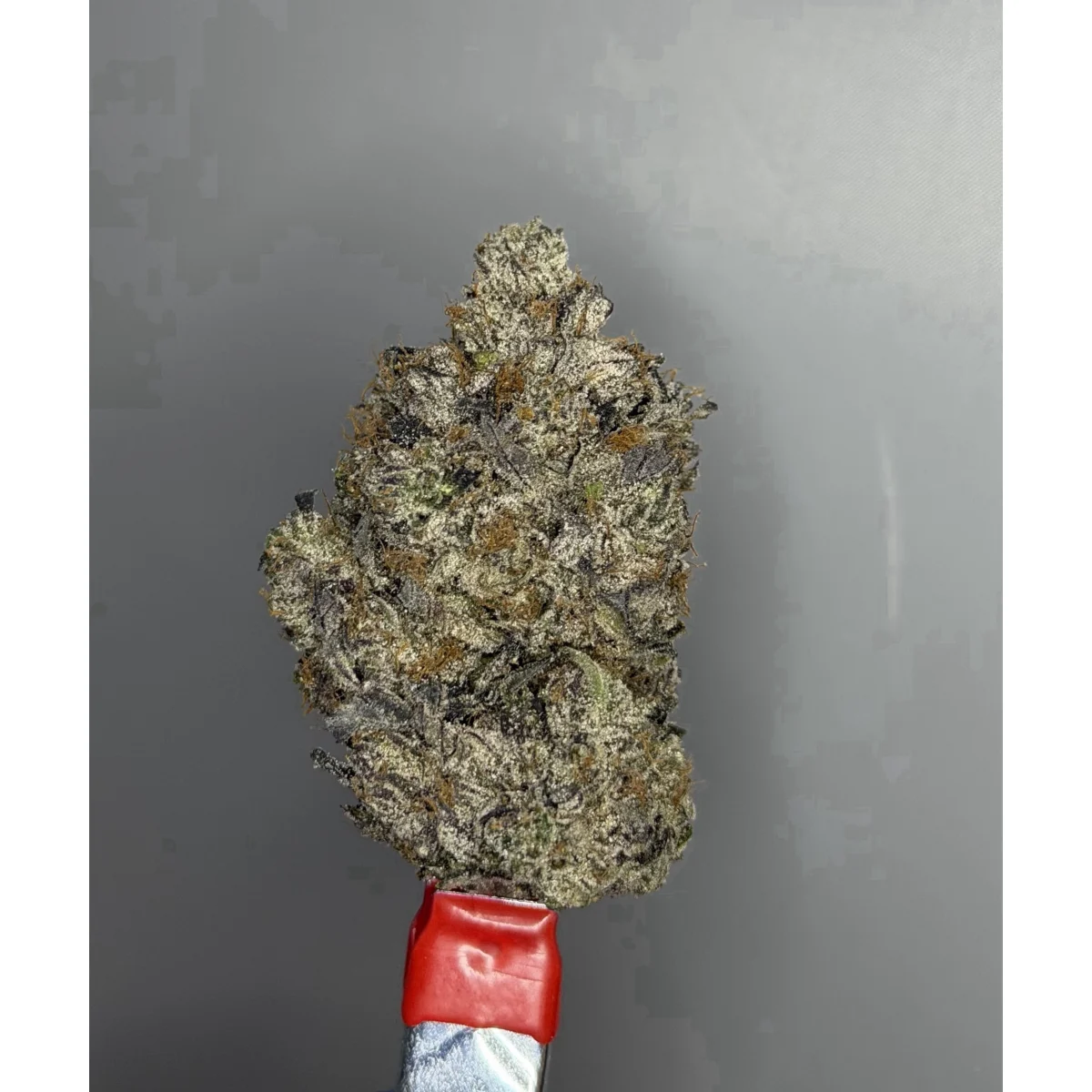 Pink Forbidden product image 5