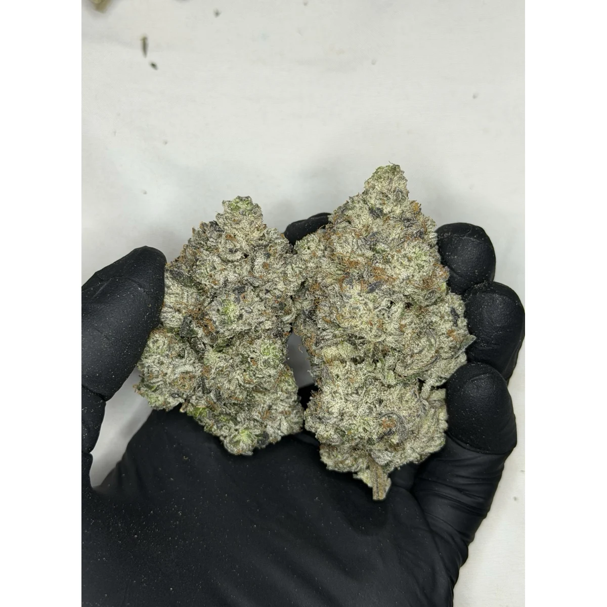 Pink Savage product image 3