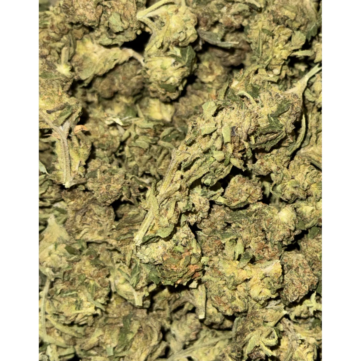Pink Dragon product image 3