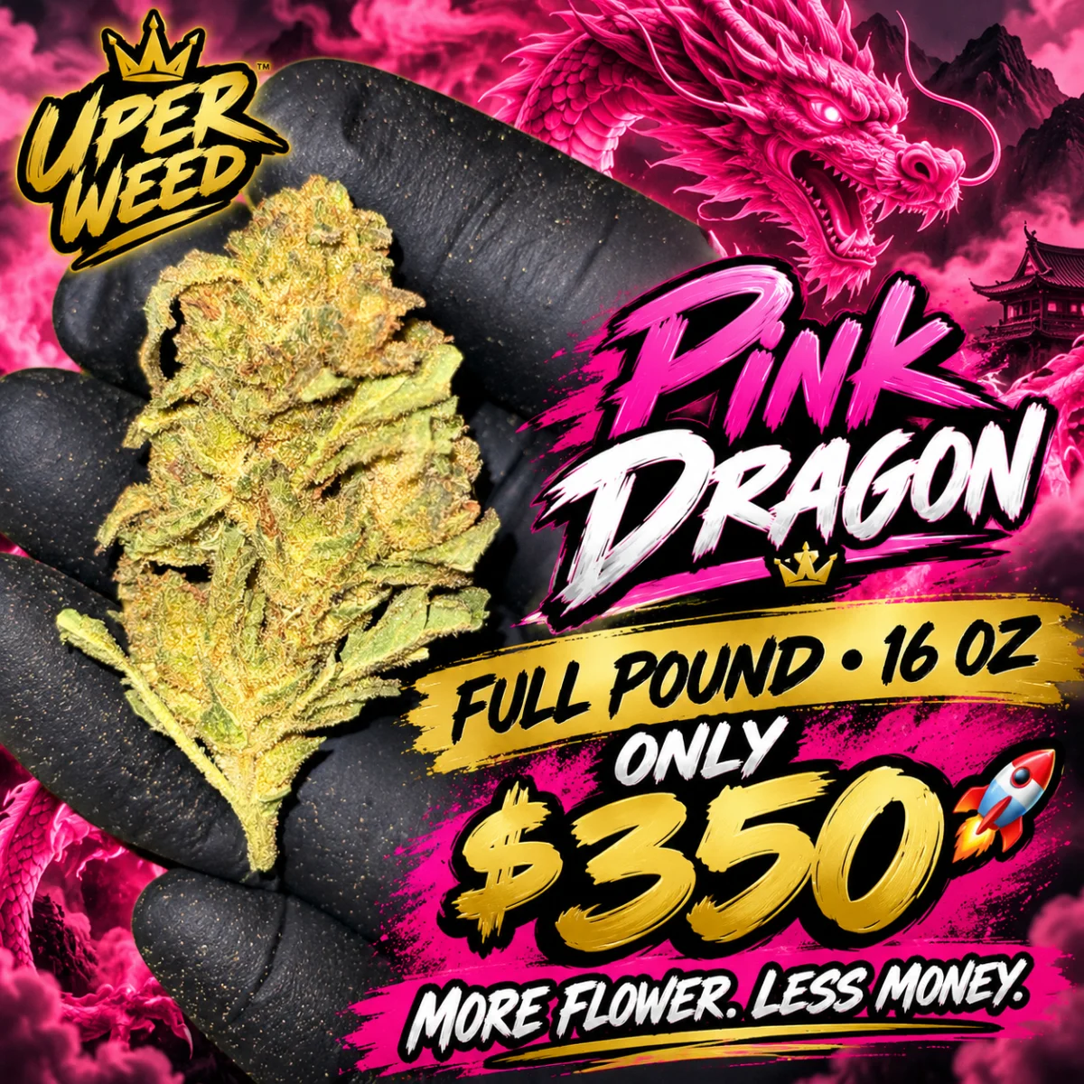 Pink Dragon