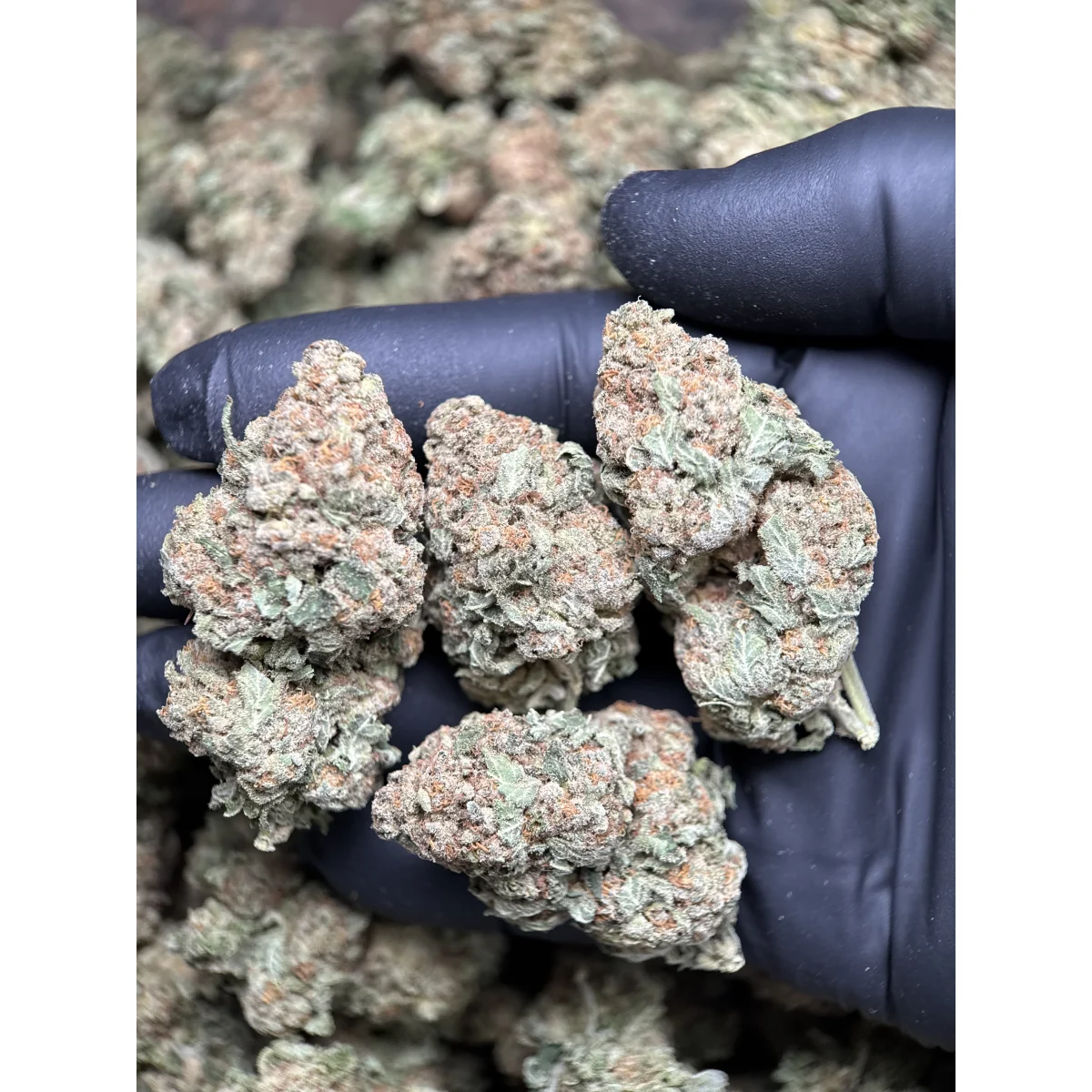 High Country Diesel