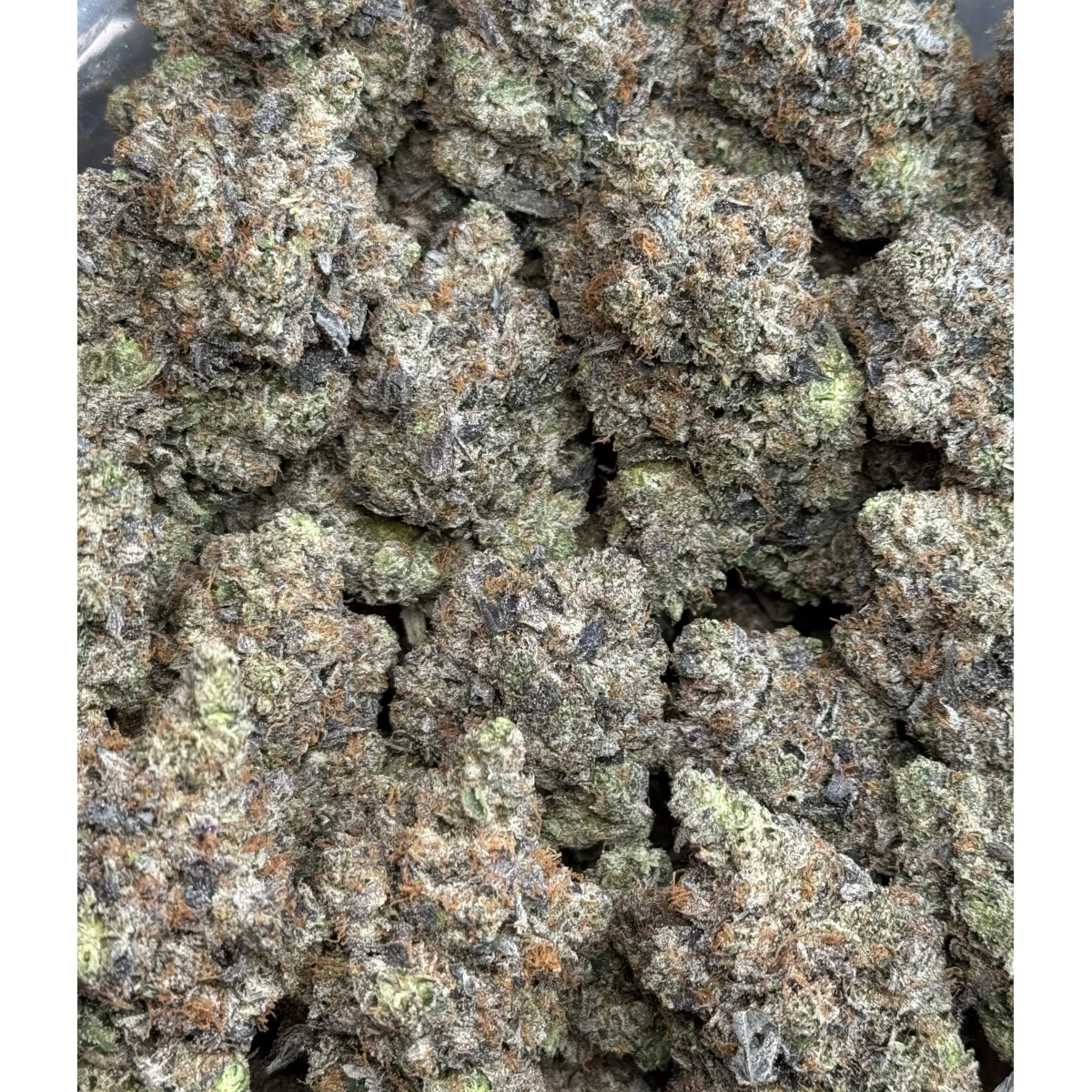 Death Tuna (Cali Bricks) indica flower bulk package showing premium cannabis buds in natural lighting with green accents 3