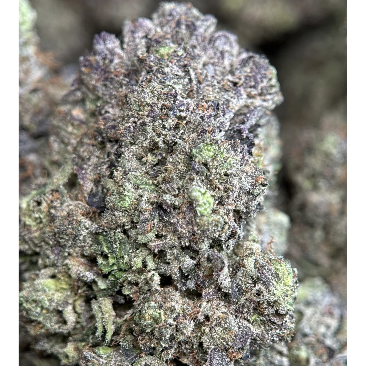Close-up of Pink Ice indica cannabis flower buds showing dense structure and natural coloring, lab-tested product 6