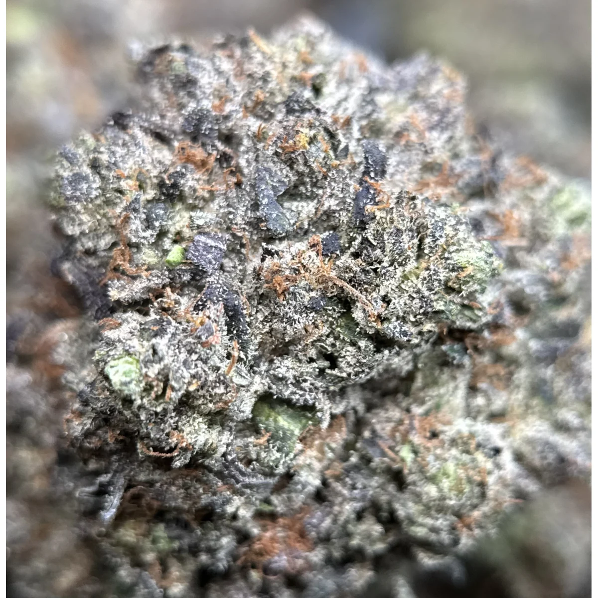 Close-up of Pink Ice indica cannabis flower buds showing dense structure and natural coloring, lab-tested product 5