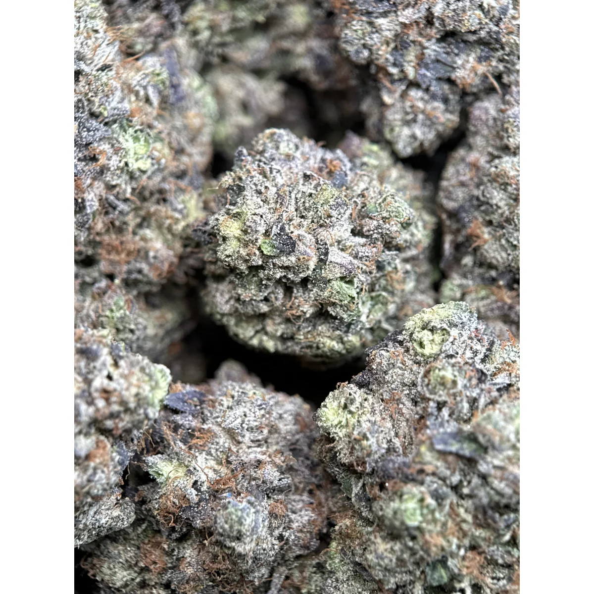 Close-up of Pink Ice indica cannabis flower buds showing dense structure and natural coloring, lab-tested product 3