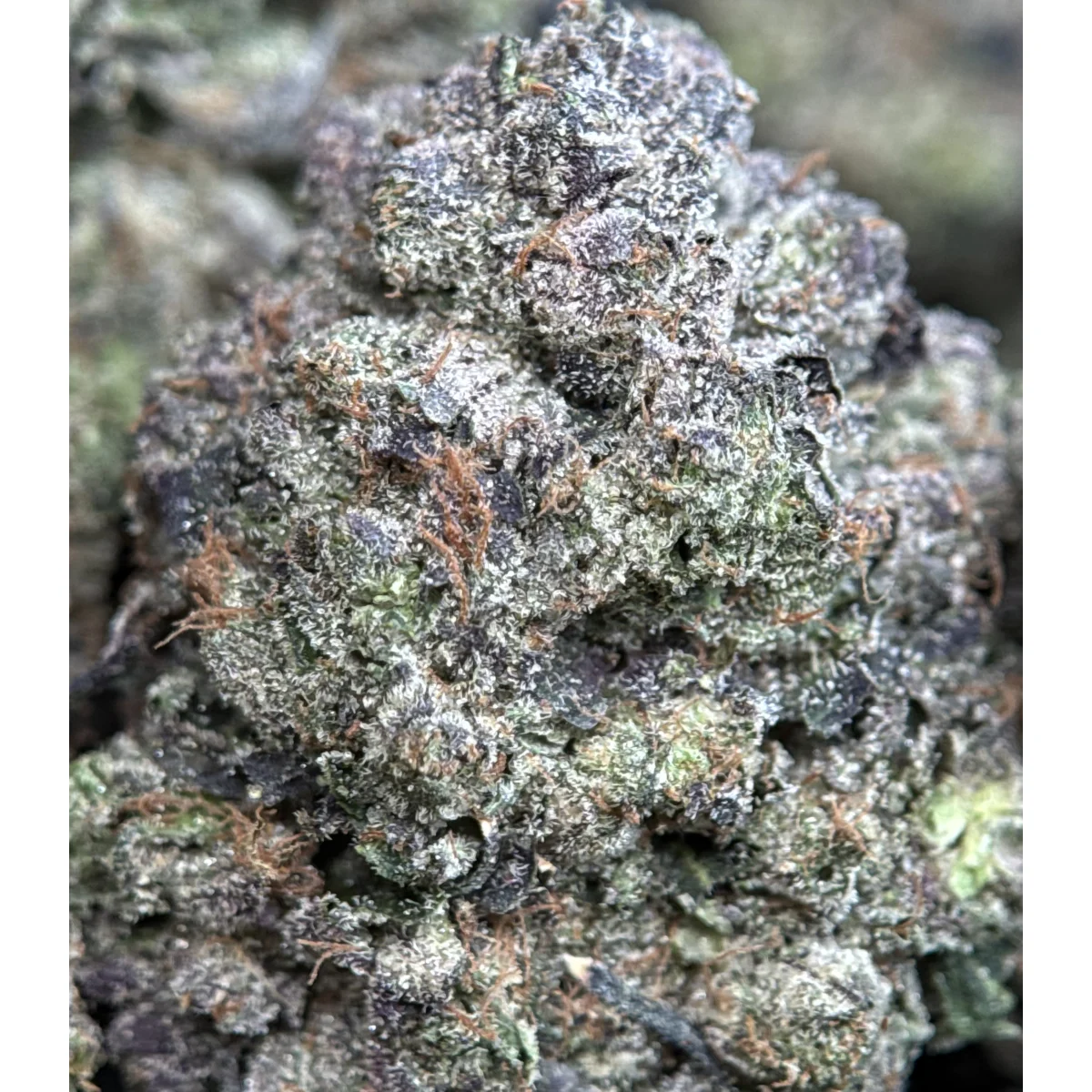 Close-up of Pink Ice indica cannabis flower buds showing dense structure and natural coloring, lab-tested product 4
