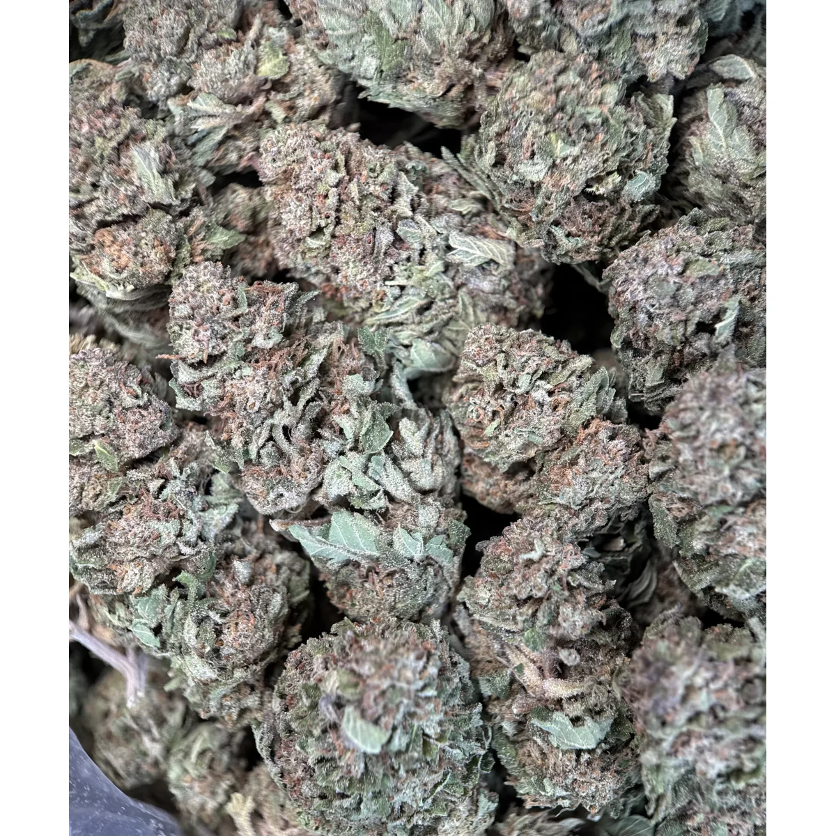 Wedding Glue indica flower, lab-tested cannabis with 31.9% THC from Uper Weed Wholesale 4