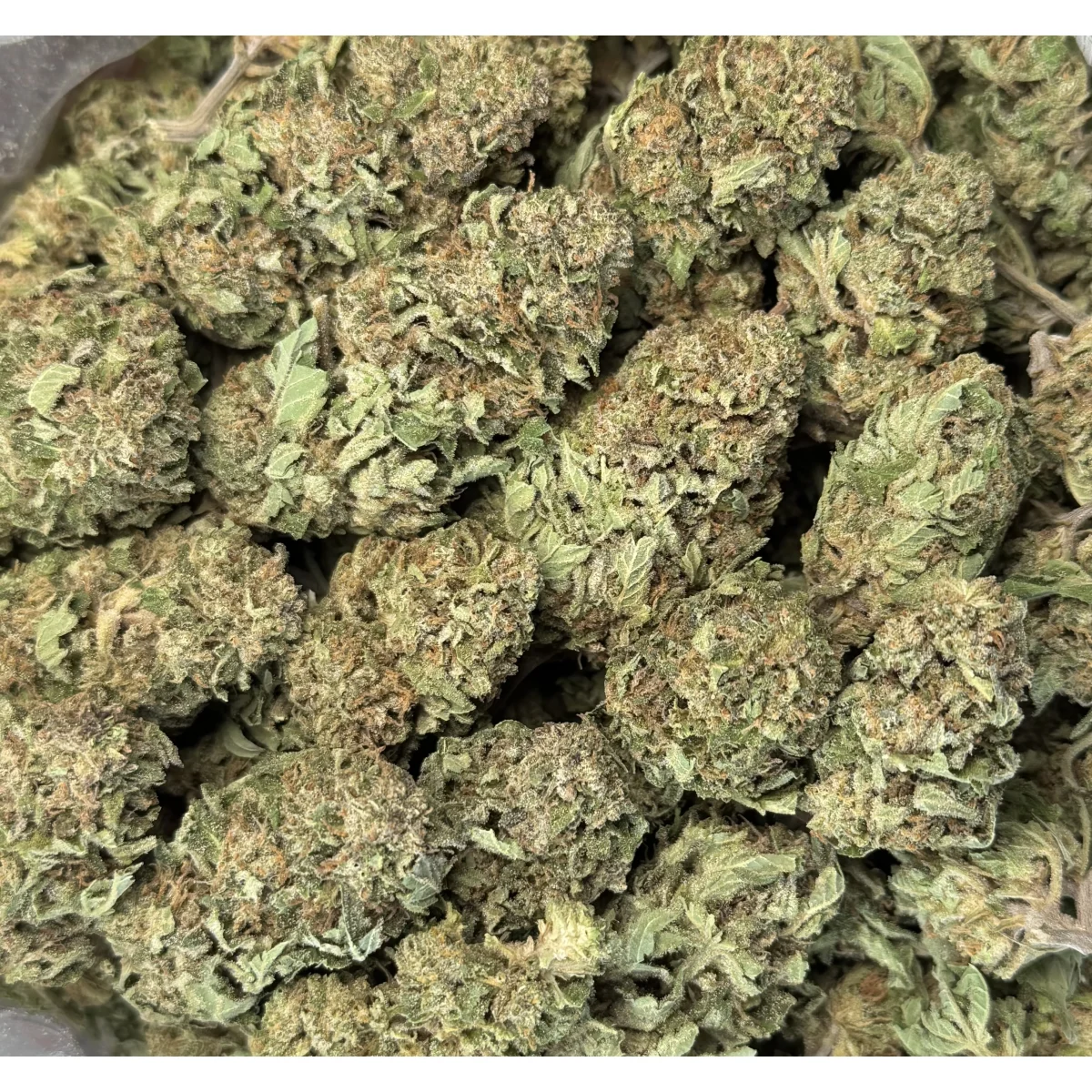 Wedding Glue indica flower, lab-tested cannabis with 31.9% THC from Uper Weed Wholesale 3