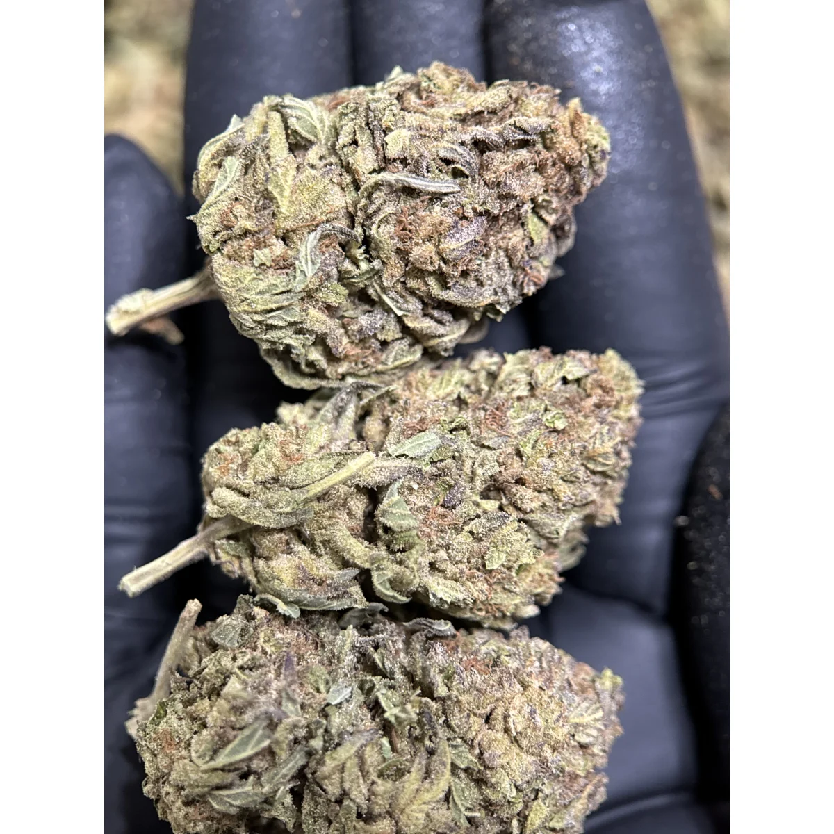 Astro Biscotti dense resin-coated cannabis buds with crystal trichomes 10