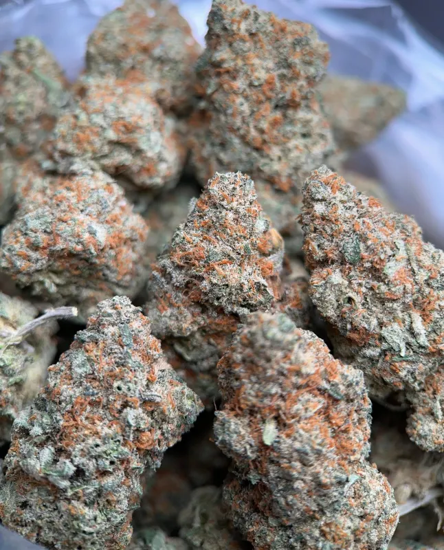 Dragon Haze sativa cannabis flower 2