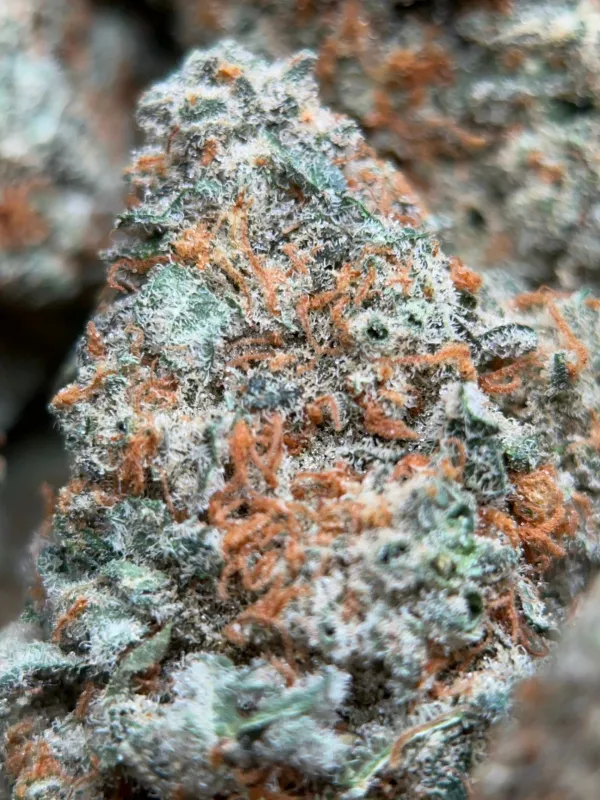 Dragon Haze sativa cannabis flower 4
