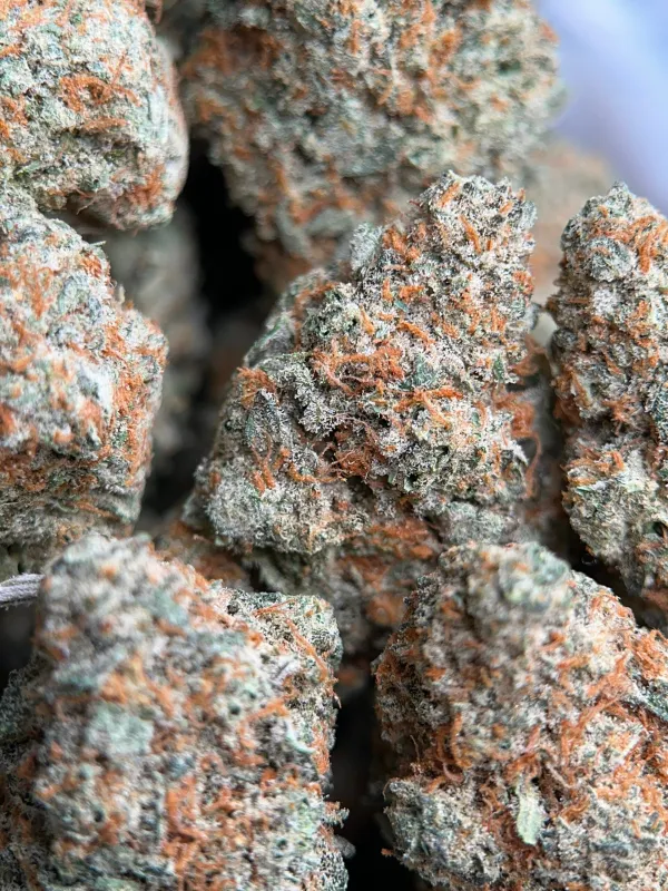 Dragon Haze sativa cannabis flower 5
