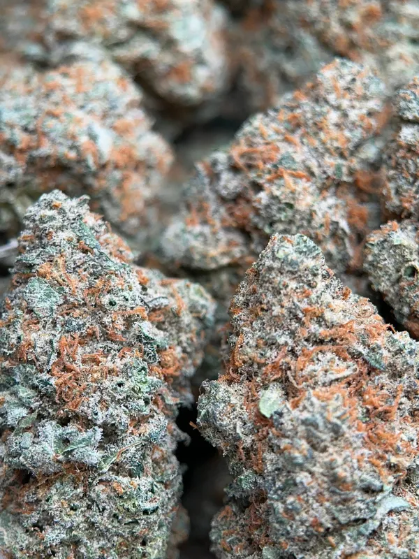 Dragon Haze sativa cannabis flower 6