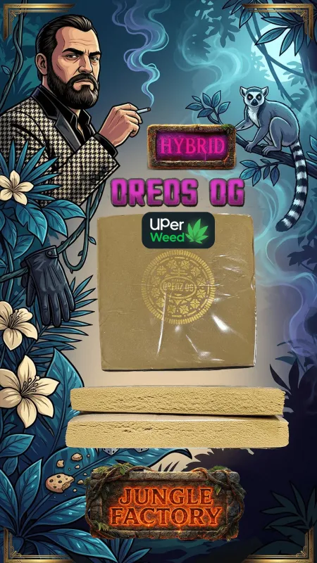 Golden-tan Frozen Fuel Hash block and bars with icy blue Indica jungle artwork 2