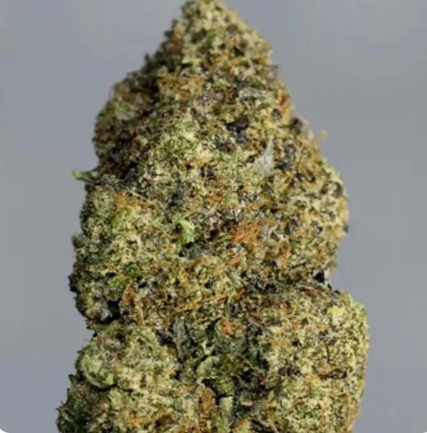 Gas Chamber dense resinous cannabis buds with sour gas and lemon character