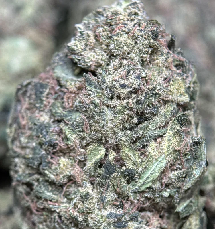 Pink Candy sativa cannabis flower 5