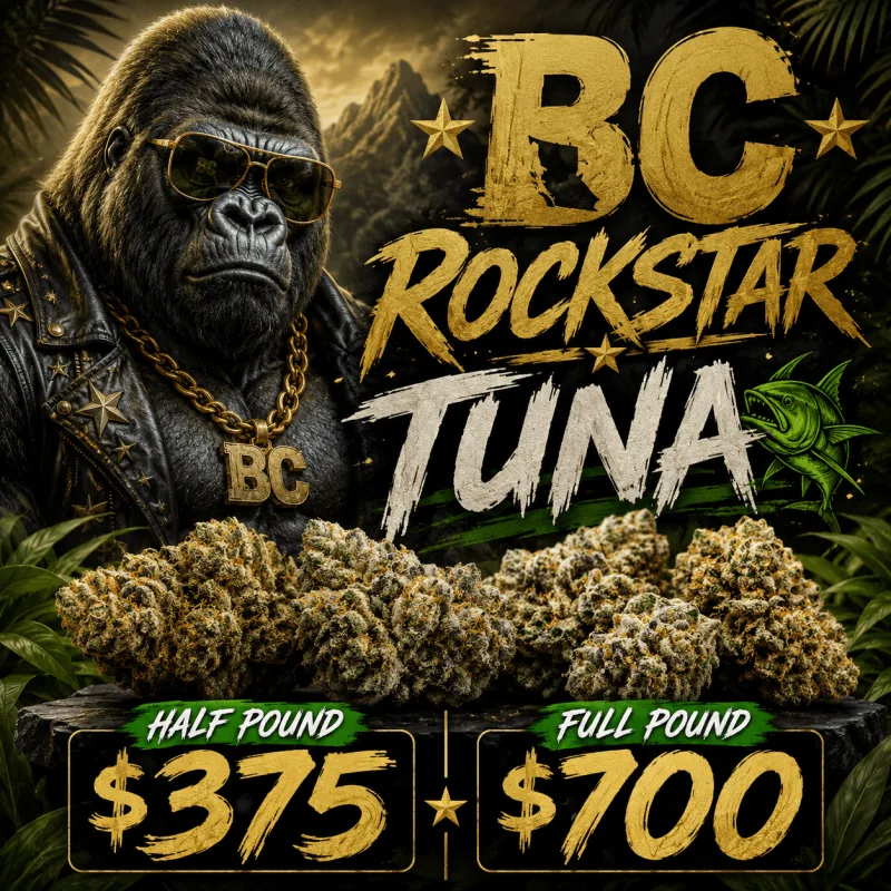 BC Rockstar Tuna green and purple frosty buds with orange pistils 1