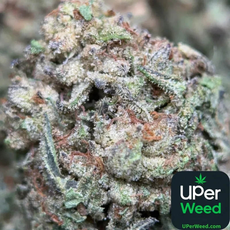 Pink Skywalker indica cannabis flower 1