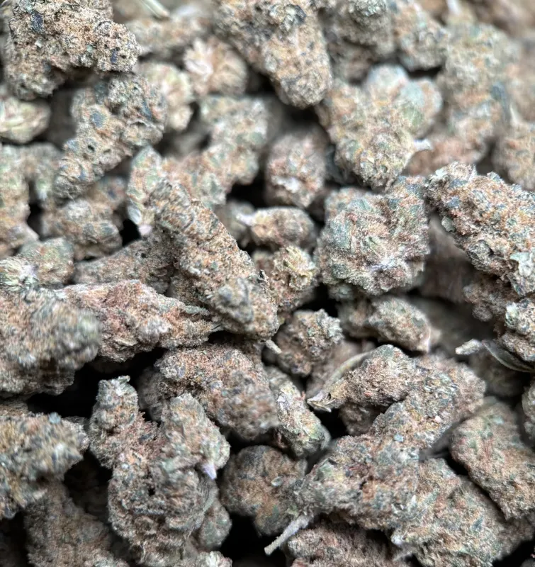 Sour Apple neon-green pepper-shaped buds with amber pistils 4